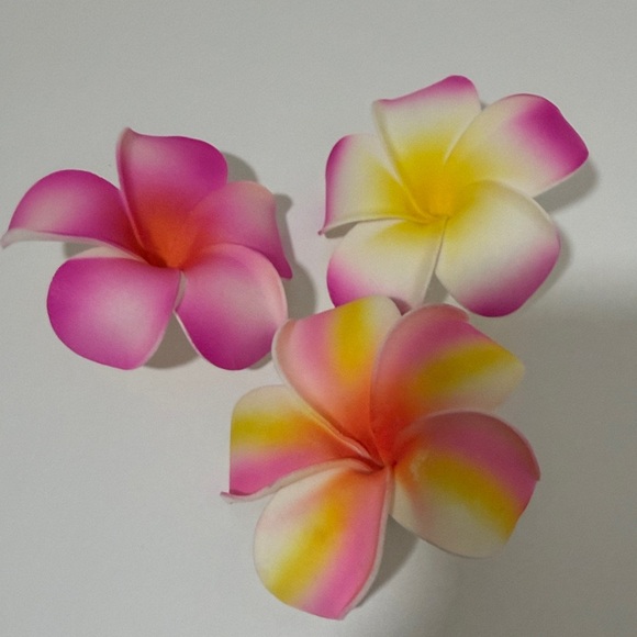 Accessories - 3/$20 Colorful Plumeria Hair Clips